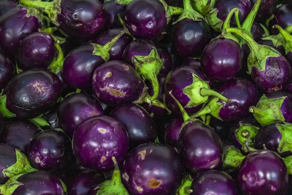 Fresh Purple Eggplants Vegetables Food Ingredients Selling Market — Stock Photo, Image