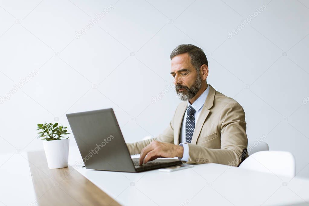 Handsome mature businessman in classic suit  using a laptop while working in his office