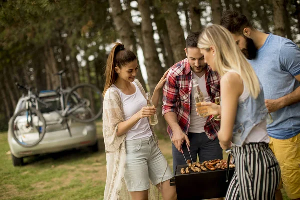 Grupo Jovens Desfrutando Churrasco Natureza — Fotografia de Stock