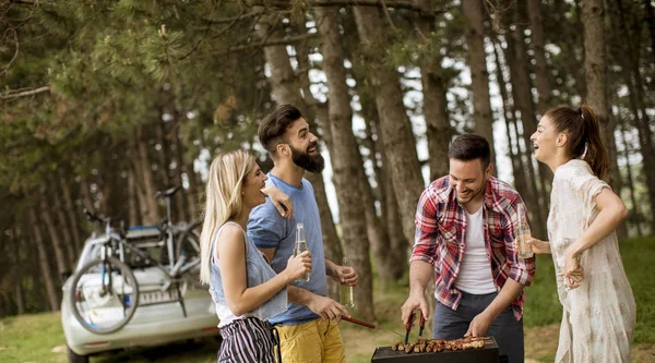 Young people enjoying barbecue party in the nature