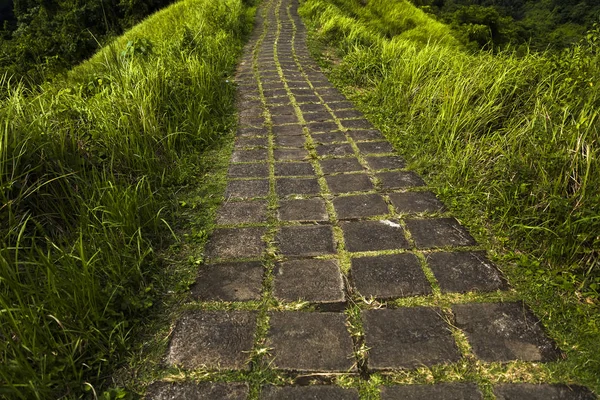 Campuhan Ridge Sentiero Escursionistico Ubud Bali Indonesia — Foto Stock