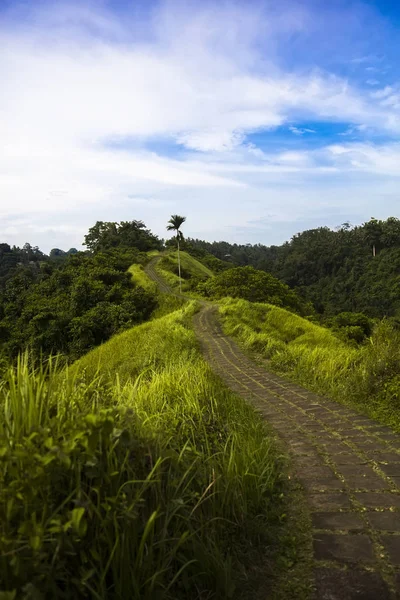 Campuhan Ridge Trilha Caminhada Ubud Bali Indonésia — Fotografia de Stock