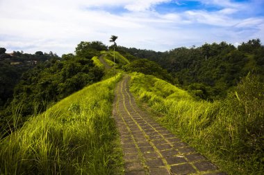 Ubud Campuhan Ridge yürüyüş parkuru, Bali, Endonezya