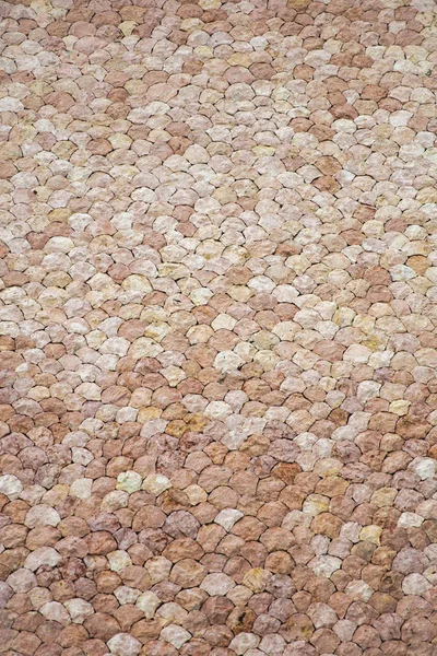 Closeup Scale Stone Wall Backdrop — Stock Photo, Image