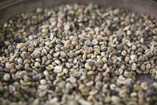 Granos de café crudos Kopi Luwak en la granja de café —  Fotos de Stock