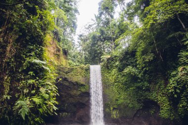 Bali'deki Tibumana şelalesi, Endonezya