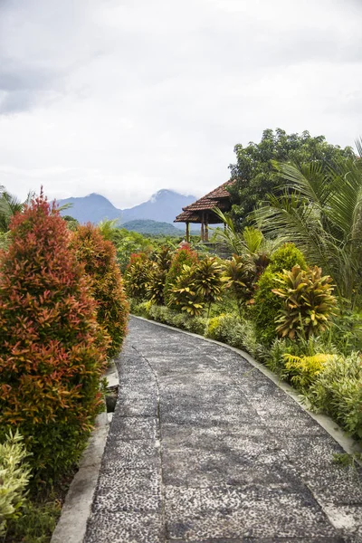 Tirta Gangga Water Palace på Bali, Indonesien — Stockfoto