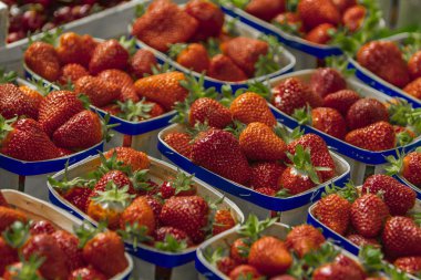 Taze kırmızı olgun çilek plastik konteyner kutusunda yakın çekim