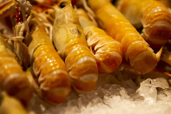 Verse grote langoustines op de markt — Stockfoto