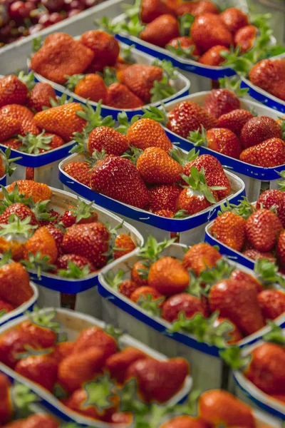 Närbild av färska röda mogna jordgubbar i plast container låda — Stockfoto