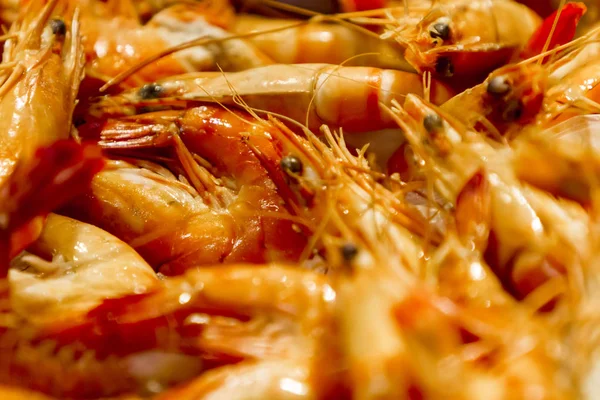 Langoustine fresche di grandi dimensioni sul mercato — Foto Stock