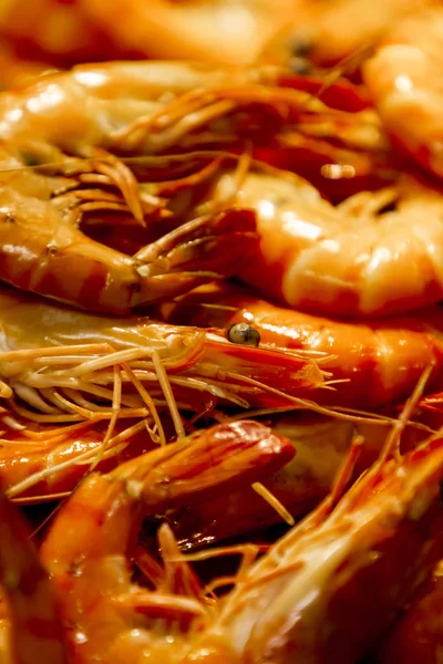 Langoustines besar segar di pasar — Stok Foto