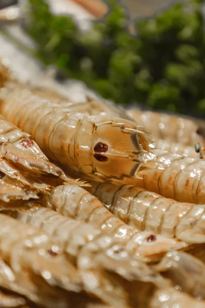 Squilla mantis (camarones Mantis) en el mercado de pescado —  Fotos de Stock