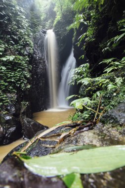 Bali, Endonezya'daki Gitgit şelalesinin detayları