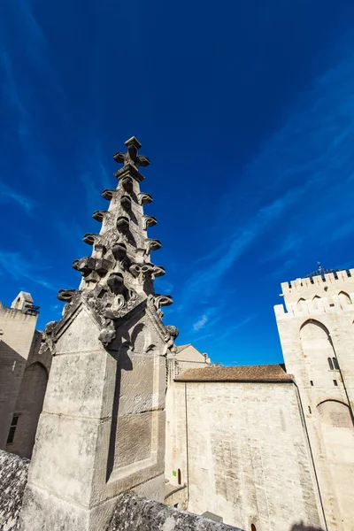 Avignon Palais Des Papes Çatı Kubbeleri Fransa — Stok fotoğraf