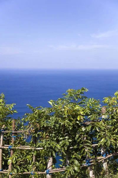 Vista Aérea Praia Kelingking Ilha Nusa Penida Indonésia — Fotografia de Stock