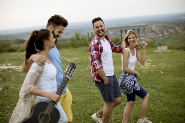 Yaz Alanında Yürüyen Akustik Gitarile Mutlu Gençler Grubu — Stok fotoğraf