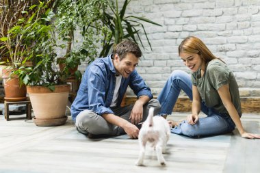 Güzel genç çift rustik oturma odası katta oturan ve sevimli beyaz köpek ile oynarken