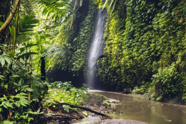 Bali Tukad Cepung şelale görünümü, Endonezya