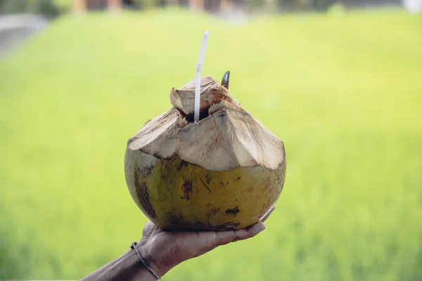 Homem Segurando Bebida Coco Com Palha Mão Campo Arroz Tropical — Fotografia de Stock