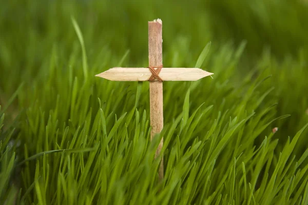 Kleines Holzkreuz Grünen Gras — Stockfoto