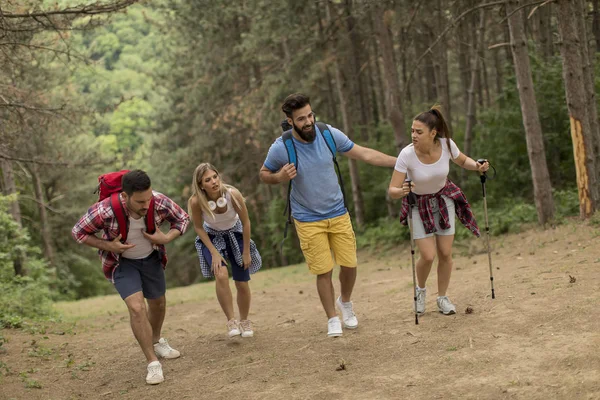 Gelukkige Jonge Groep Mensen Die Samen Wandelen Door Fores — Stockfoto