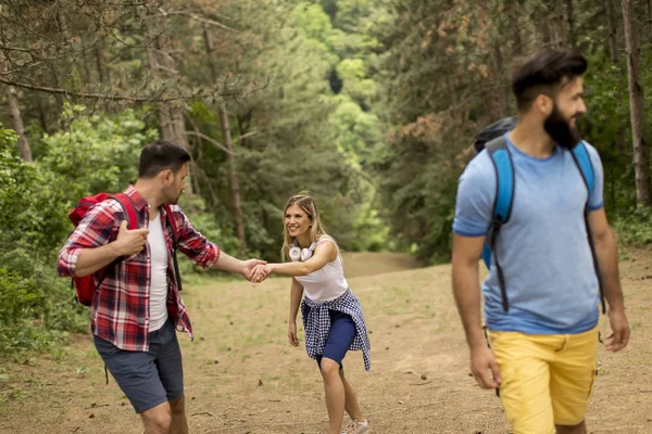 Gelukkige Jonge Groep Mensen Die Samen Wandelen Door Fores — Stockfoto