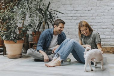 Güzel genç çift rustik oturma odası katta oturan ve sevimli beyaz köpek ile oynarken