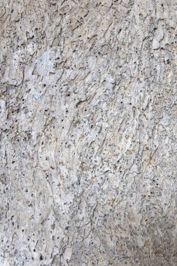 Eski gri kırık ahşap doku arkaplan closeup