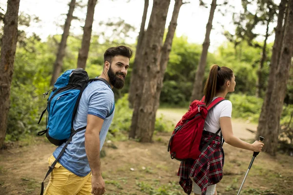 Couple of young happy travelers hiking with backpacks on the beautiful forest trail on a summer day