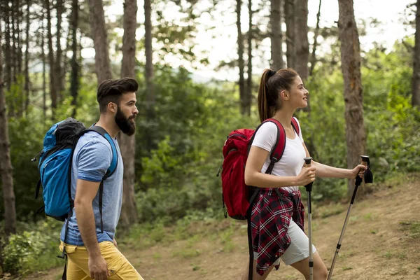 Paar Jonge Gelukkige Reizigers Wandelen Met Rugzakken Het Prachtige Bos — Stockfoto