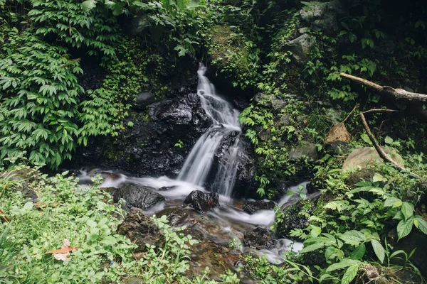 Detail Vodopádu Gitgit Bali Indonésie — Stock fotografie