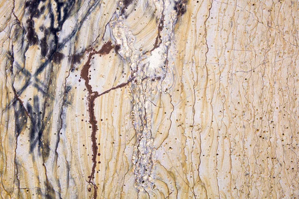 Detail Closeup Přírodního Žlutého Mramoru Pozadí — Stock fotografie