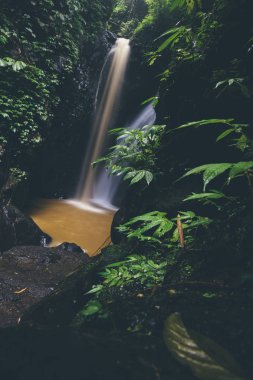Bali, Endonezya'daki Gitgit şelalesinin detayları