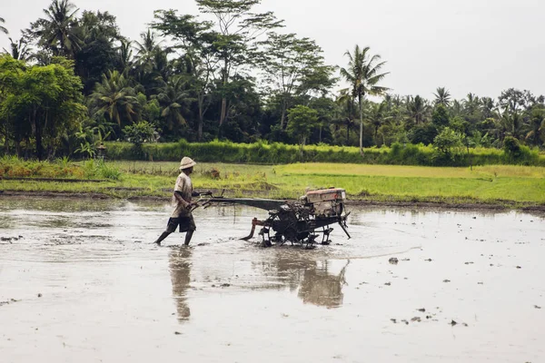 トゥカド インドネシア 2019年1月28日 インドネシアのバリ島で耕す機械で濡れた田んぼを耕す正体不明の男 インドネシアは世界第3位の米生産国 — ストック写真
