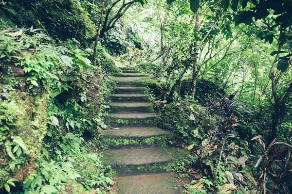 Vista Las Viejas Escaleras Piedra Cascada Gitgit Isla Bali Indonesia — Foto de Stock