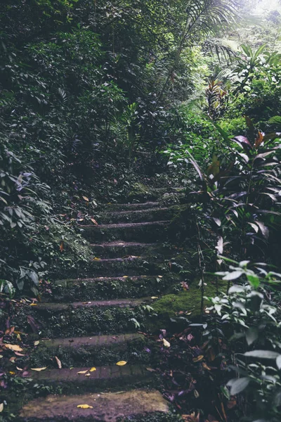 Вид Старую Каменную Лестницу Водопада Мбали Острове Бали Индонезия — стоковое фото