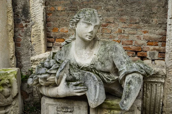 Statua Nel Cortile Secolare Del Teatro Olimpico Vicenza Realizzata Dall — Foto Stock