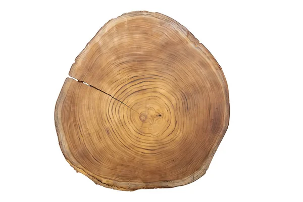 Large Circular Piece Wood Cross Section Concentric Tree Ring Texture — Stock Photo, Image