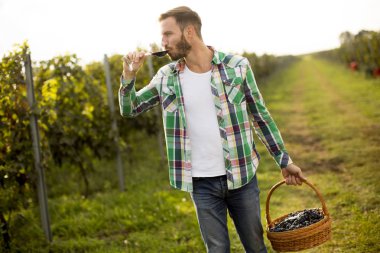 Yakışıklı genç şarap üreticisi bağda kırmızı şarap tatma