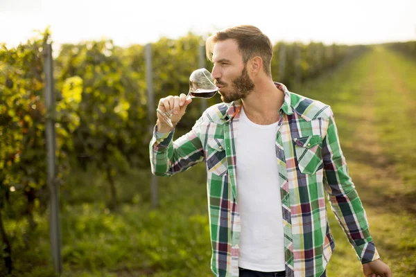 Bello Giovane Viticoltore Degustazione Vino Rosso Vigna — Foto Stock