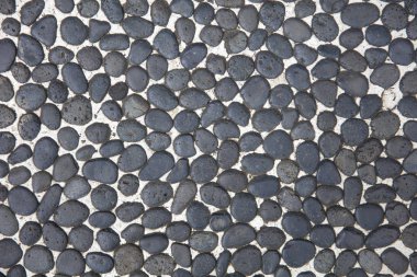 Pebbels arka planda yakından görünüm