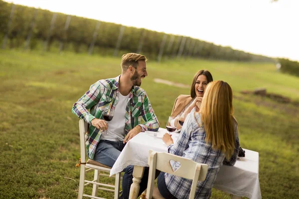 Gruppe Junger Leute Sitzt Tisch Und Trinkt Rotwein Weinberg — Stockfoto