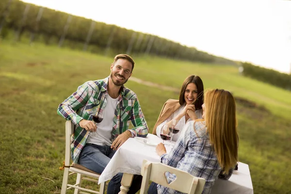 Grupo Jóvenes Sentados Mesa Bebiendo Vino Tinto Viñedo — Foto de Stock