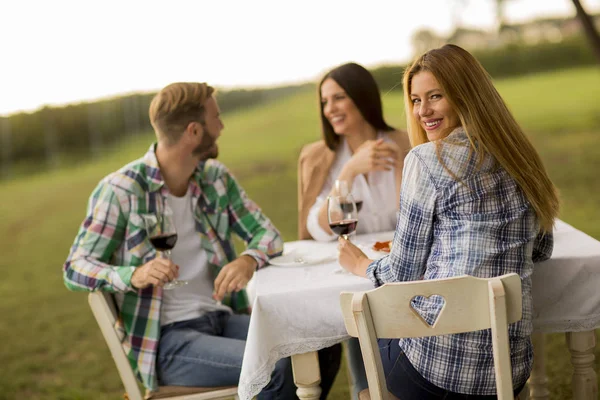 Grupo Jóvenes Sentados Mesa Bebiendo Vino Tinto Viñedo —  Fotos de Stock