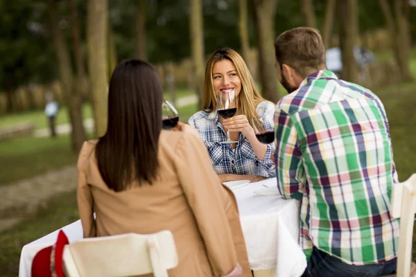 Grupo Jóvenes Sentados Mesa Bebiendo Vino Tinto Viñedo — Foto de Stock