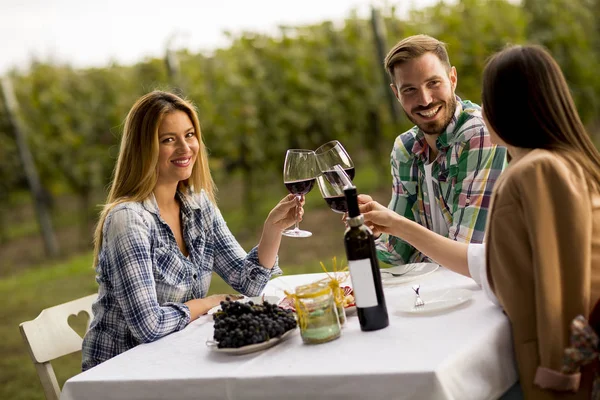 Grupo Jovens Sentados Mesa Beber Vinho Tinto Vinha — Fotografia de Stock