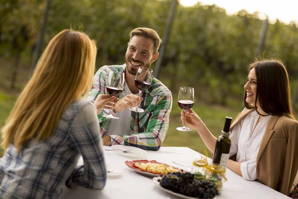 Grupo Jóvenes Sentados Mesa Bebiendo Vino Tinto Viñedo — Foto de Stock