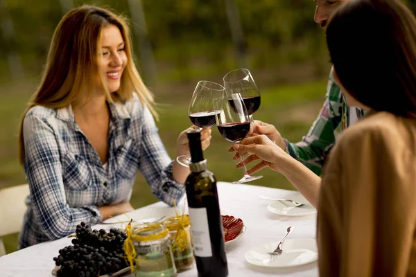 Groupe Jeunes Assis Table Buvant Vin Rouge Dans Vignoble — Photo