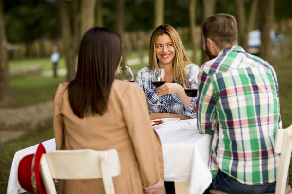 一群年轻人坐在桌旁 在葡萄园里喝红酒 — 图库照片